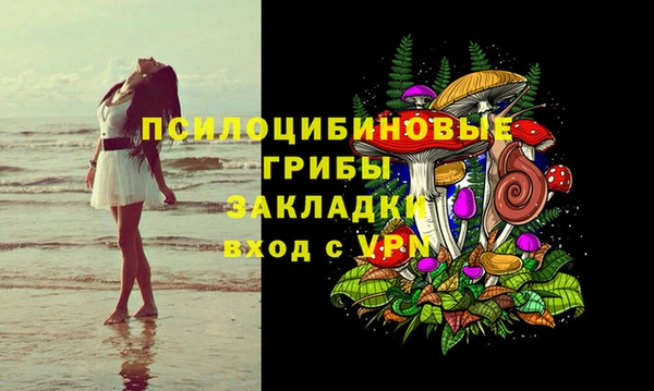гашик Арсеньев