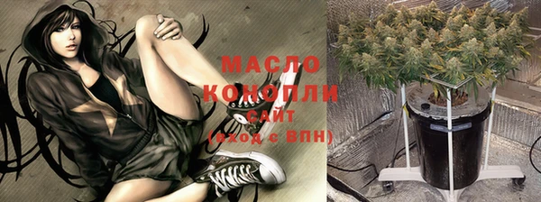 гашик Арсеньев