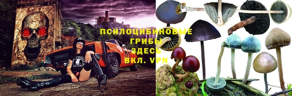 метамфетамин Алексин