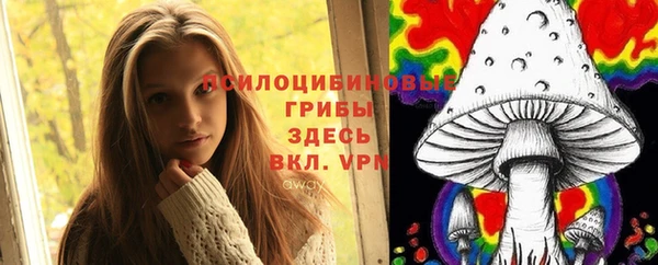 спайс Алексеевка