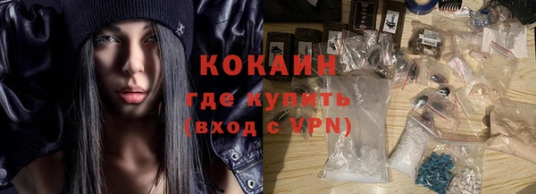 гашик Арсеньев