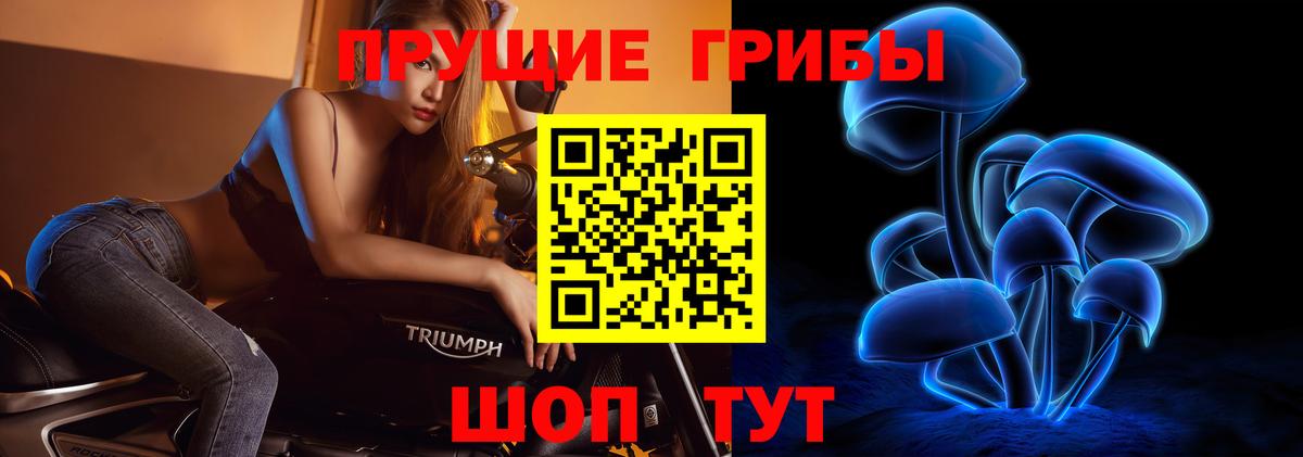 Псилоцибиновые грибы мухоморы Нурлат